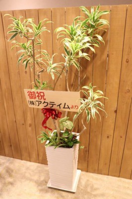 s_IMG_5797