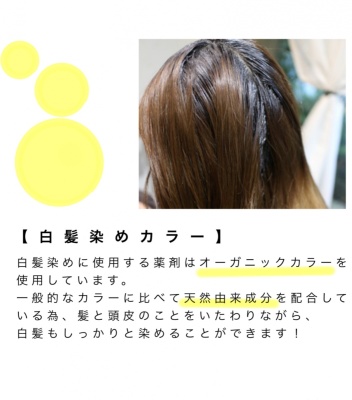 守口市 美容室 ヘアカラー オーガニックカラー グレイカラー 白髪染め アディクシーカラー エヌドットカラー  デザインカラー ハイライトカラー (3)