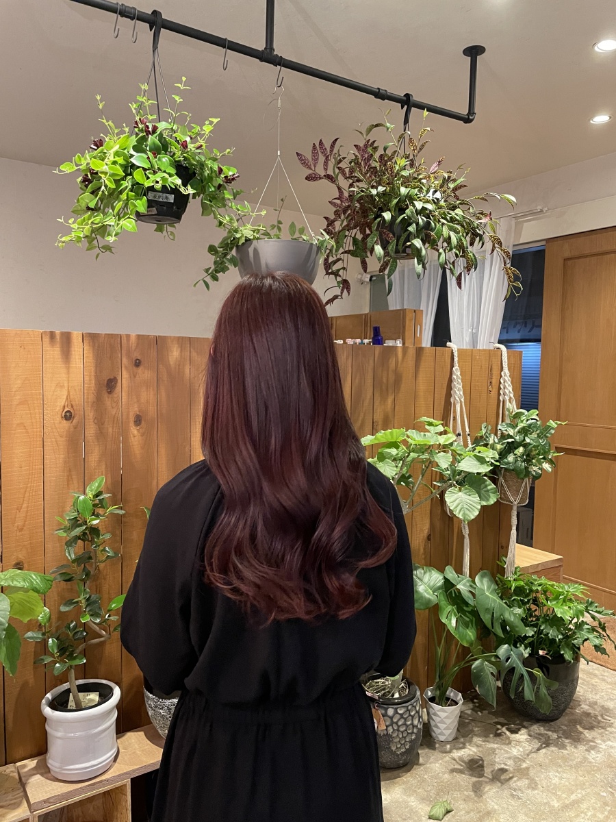 オーガニックノート シャントリセット 販売商品 | 鶴橋・今里の床屋ならhair salon miura