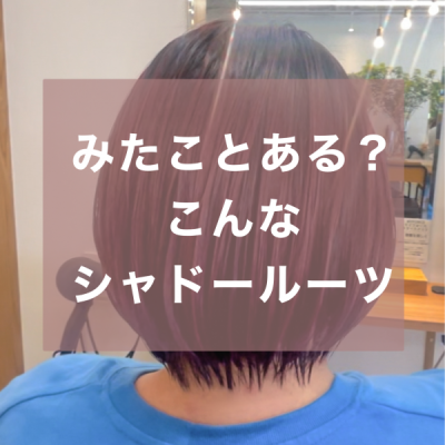 無題284_20240522091308